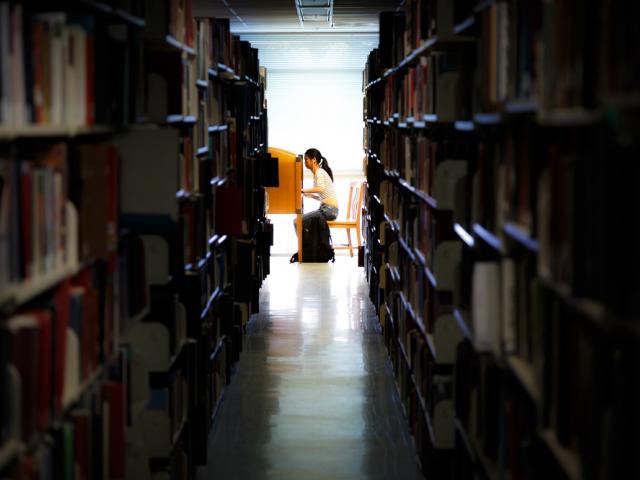 Student studying beyond library stacks.