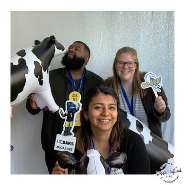 Three advisors in photobooth picture with props and inflatable cows.