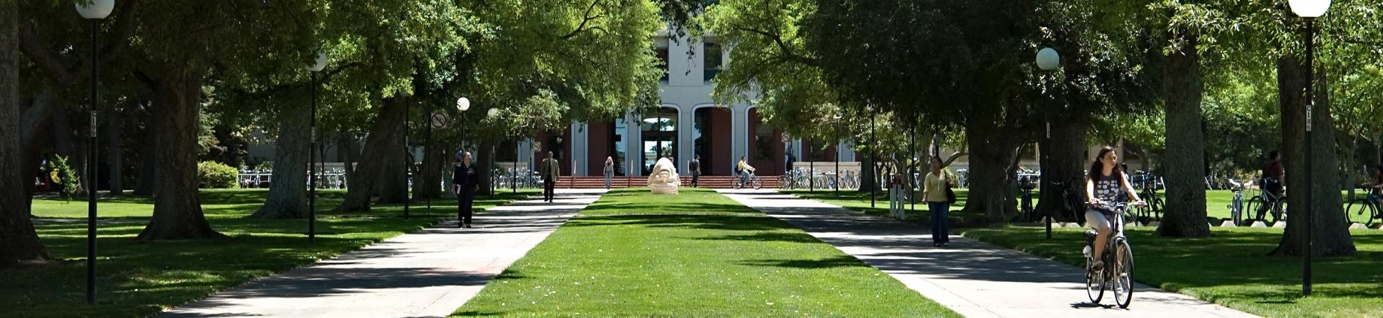 Grassy space outside Mrak Hall.