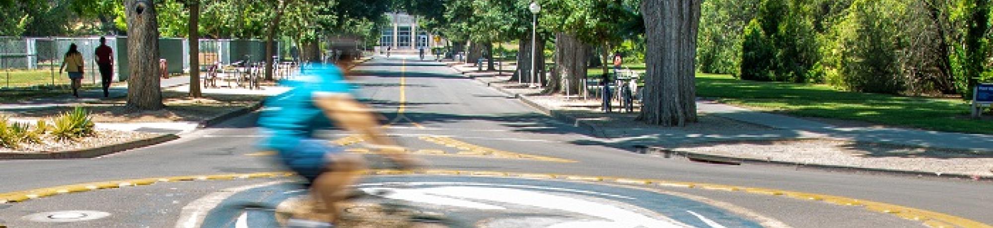 Cyclist riding past campus roundabout.